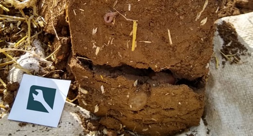 A cracked soil profile on a sheet